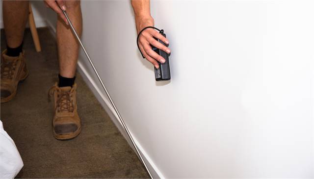 Golden City Termite Experts