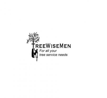 TreeWiseMen