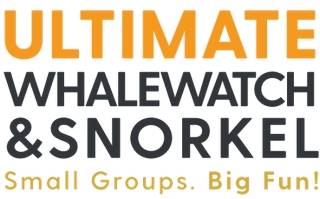 Ultimate Whale Watch & Snorkel